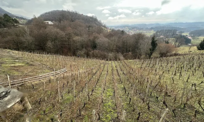 Недвижимость Дом, Дрёвник: 18