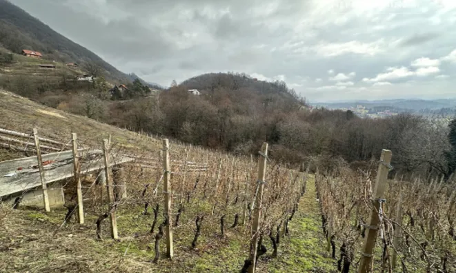 Недвижимость Дом, Дрёвник: 20