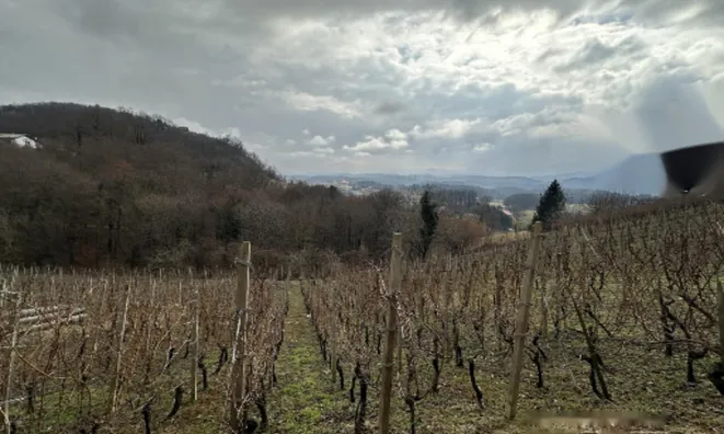 Недвижимость Дом, Дрёвник: 21