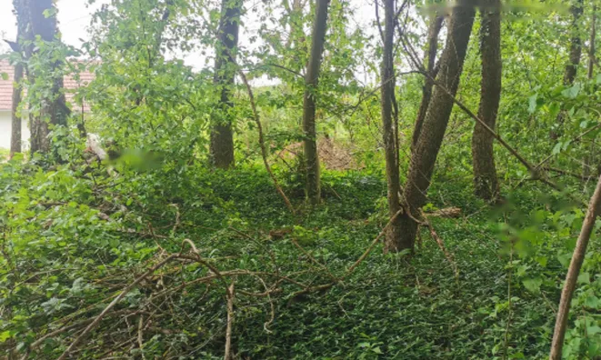 Недвижимость Дом Друго Чагона: 12