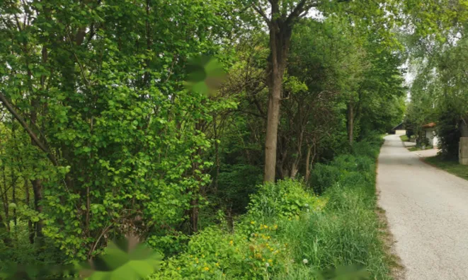 Недвижимость Дом Друго Чагона: 16