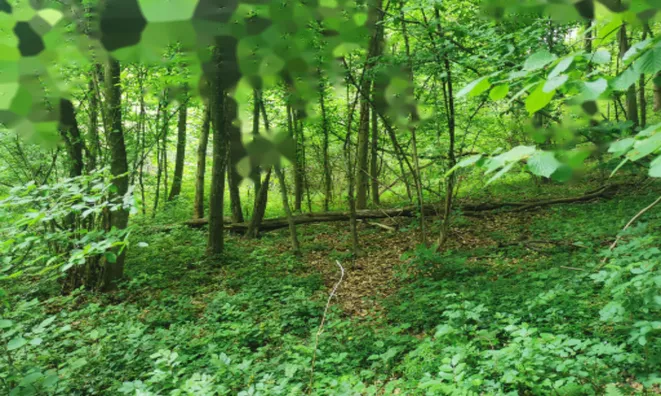 Недвижимость Дом Друго Чагона: 17