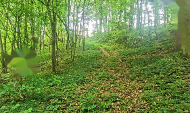 Недвижимость Дом Друго Чагона: 18