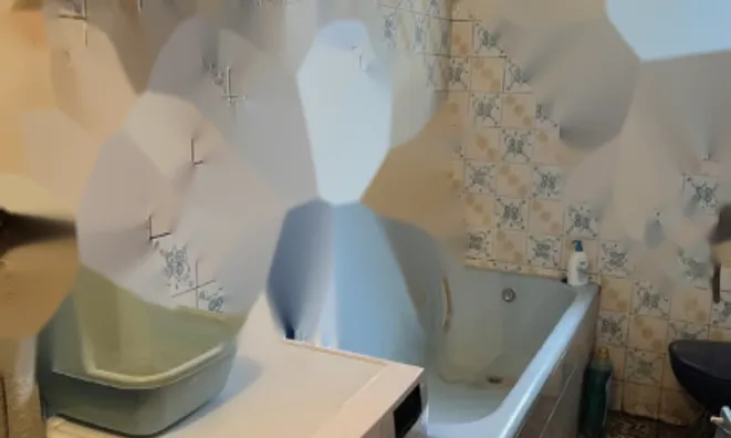 Недвижимость Дом, Моравске-Топлице: 12