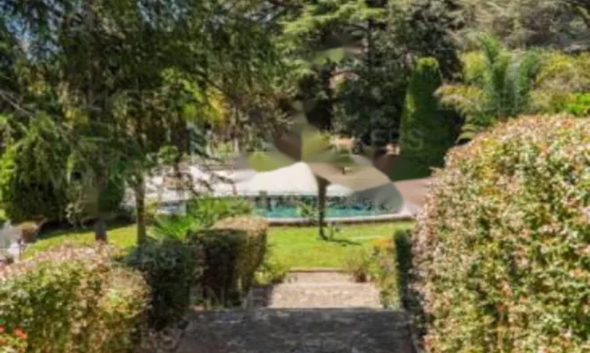 Недвижимость Apartment Cannes Croix Gardes: 8