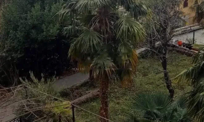 Недвижимость Семейный дом Опатия Центр: 6