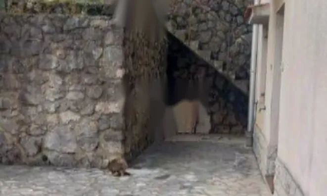 Недвижимость Семейный дом Опатия Центр: 7