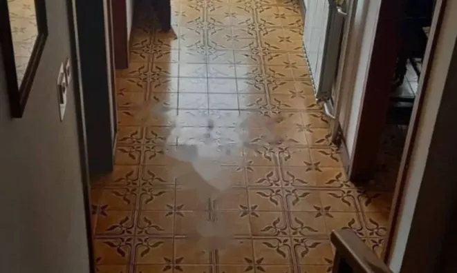 Недвижимость Семейный дом Опатия Центр: 11