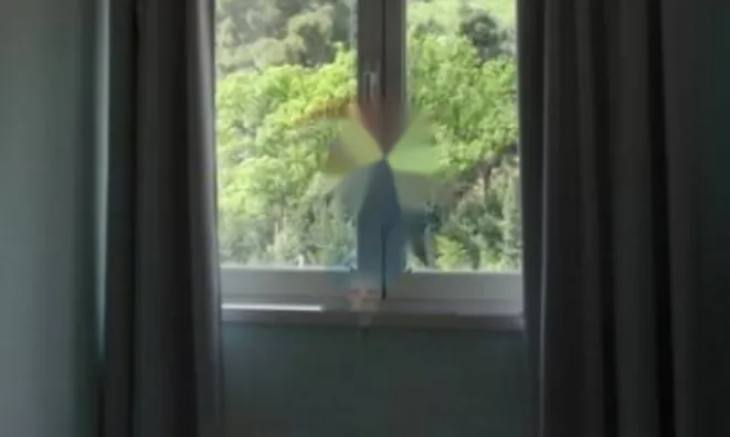 Недвижимость Трехкомнатная квартира в Центре: 9