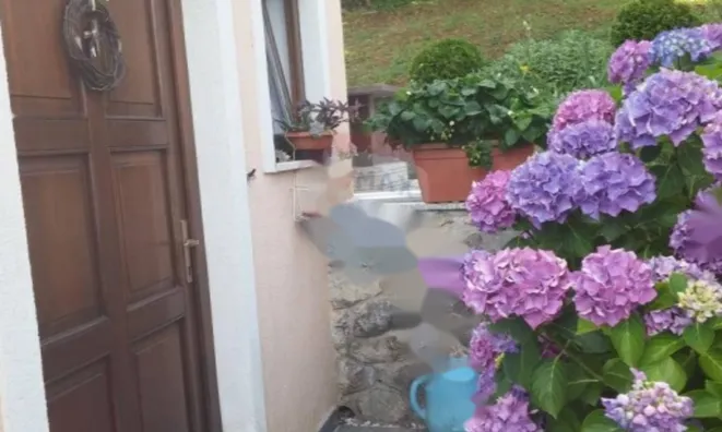 Недвижимость Семейный дом Поляне, Опатия: 31