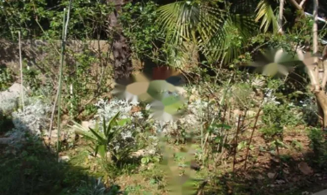 Недвижимость Семейный дом в центре Опатии: 12