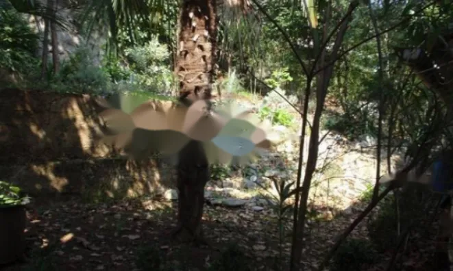 Недвижимость Семейный дом в центре Опатии: 14