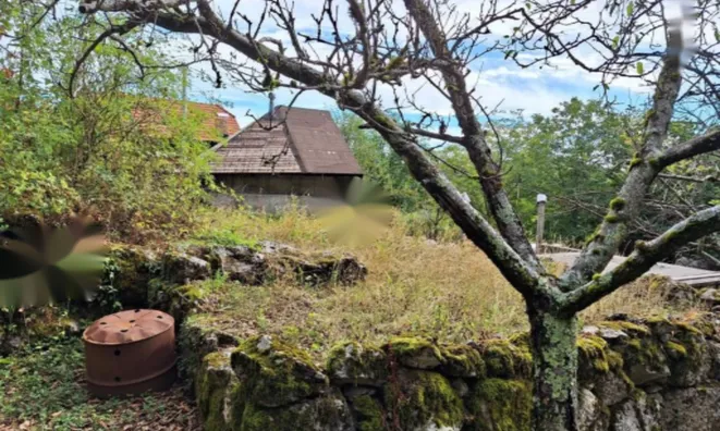 Недвижимость Семейный дом Мала Учка: 4