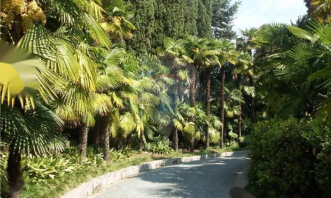 Недвижимость Трёхкомнатная квартира в центре: 2