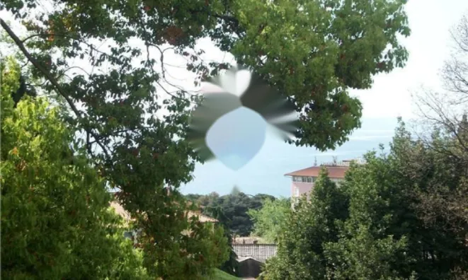 Недвижимость Трёхкомнатная квартира в центре: 12