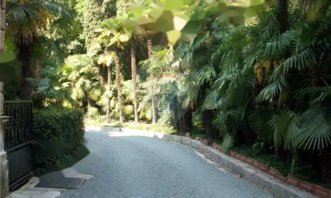 Недвижимость Трёхкомнатная квартира в центре: 16