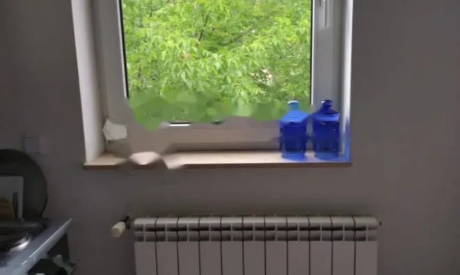 Недвижимость Трёхкомнатная квартира в Центре: 8