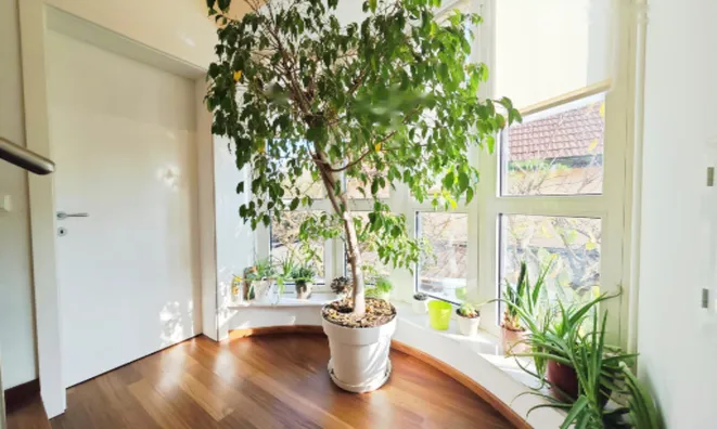 Недвижимость Дом Любляна Бежиград: 10