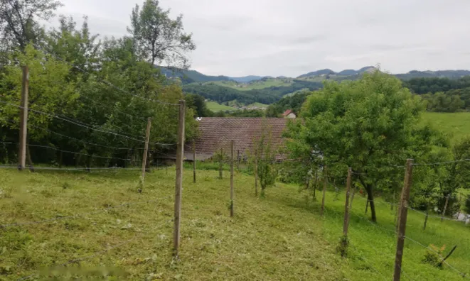 Недвижимость Дом, Забика, Пустики: 6