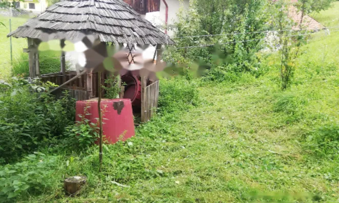 Недвижимость Дом, Забика, Пустики: 7