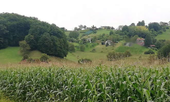 Недвижимость Дом, Забика, Пустики: 10