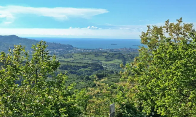 Недвижимость Дом, Мареджиге: 2