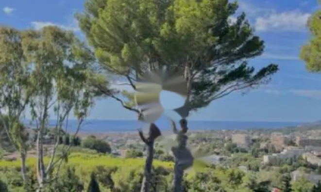 Недвижимость Villa Croix des Gardes: 10