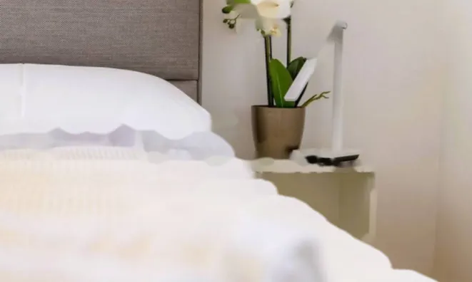 Недвижимость Трёхкомнатная квартира Ичичи: 19