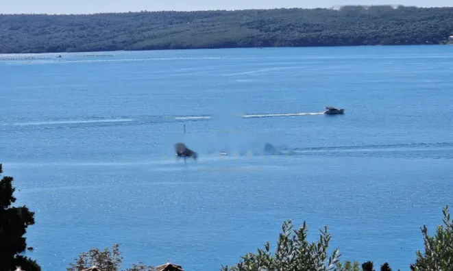 Недвижимость Дом, Порторож: 23