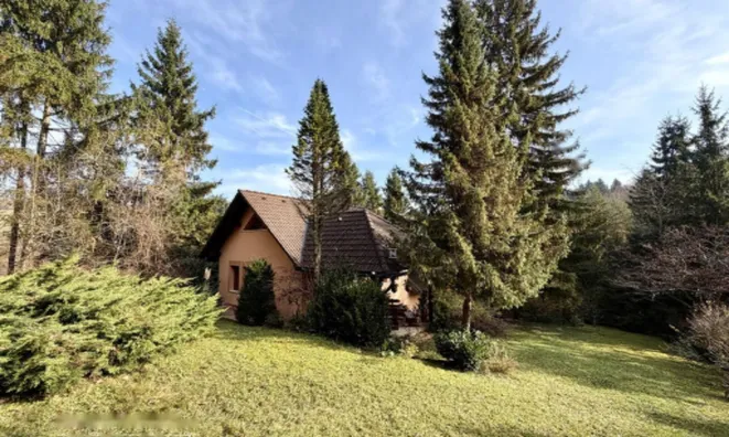 Недвижимость Дом, Мали Липоглав: 10