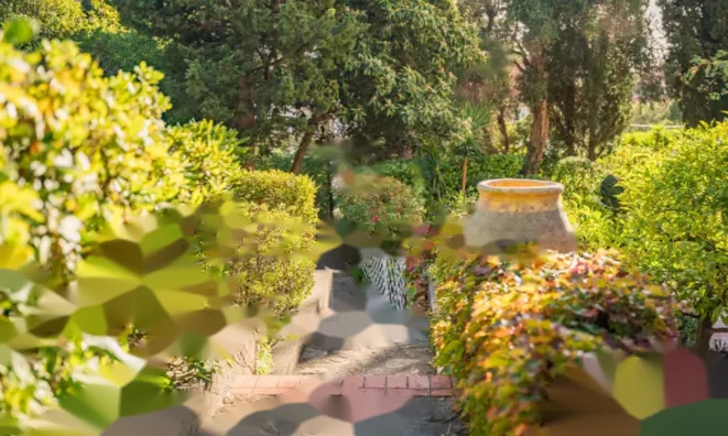 Недвижимость Apartment Cannes California: 21