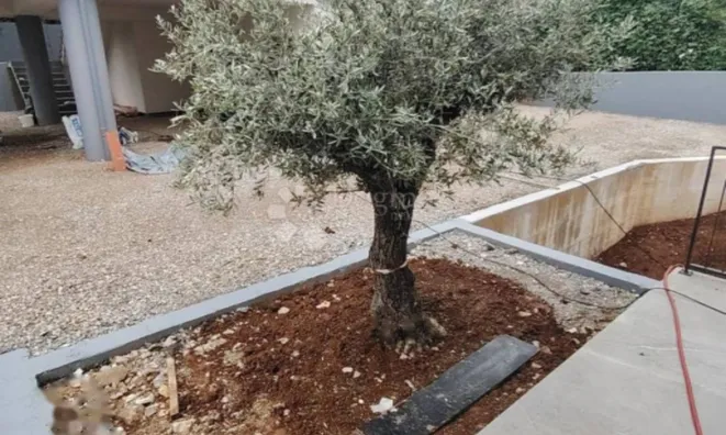 Недвижимость Четырехкомнатная квартира: 5