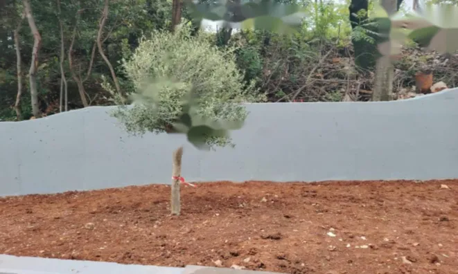 Недвижимость Четырехкомнатная квартира: 7