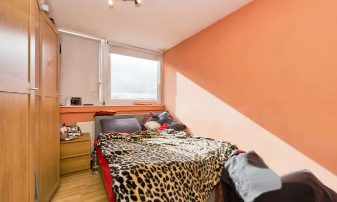 Недвижимость King Street: 4