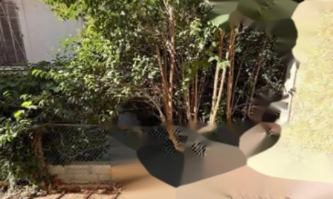 Недвижимость Townhouse Croix des Gardes: 12