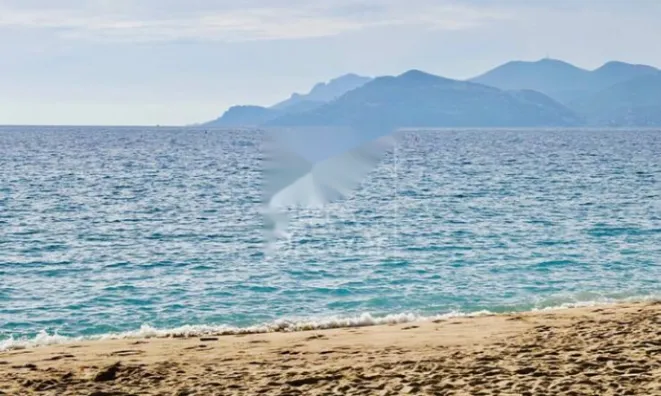 Недвижимость Apartment Croix des Gardes: 1