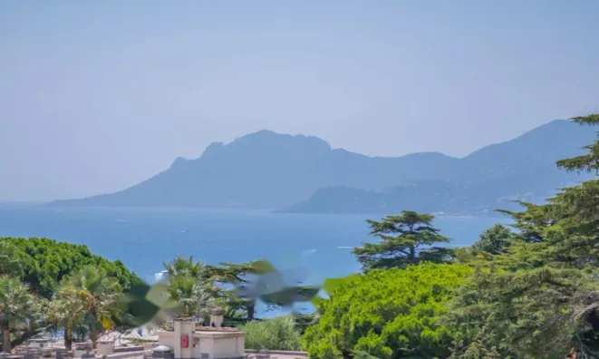 Недвижимость Apartment Cannes Californie: 18