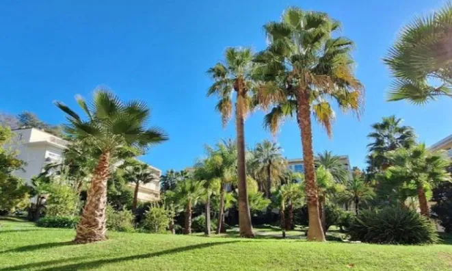 Недвижимость Apartment Cannes: 1