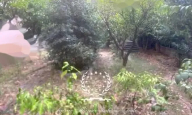 Недвижимость Apartment Cannes Suquet: 12