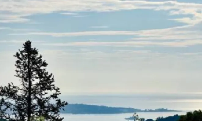 Недвижимость Maison Cannes: 6