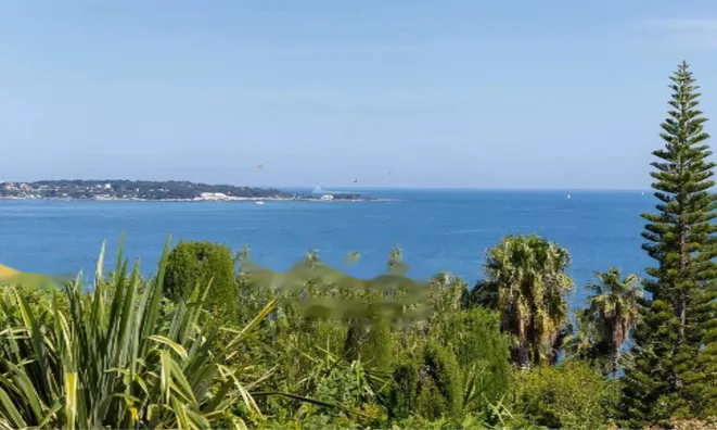 Недвижимость Maison Cannes: 1