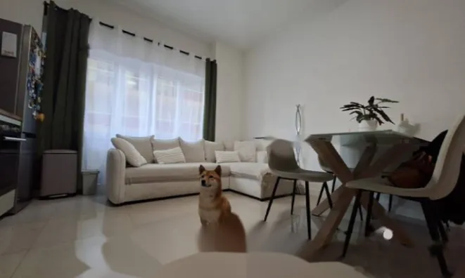 Недвижимость Apartment Petit Juas: 1