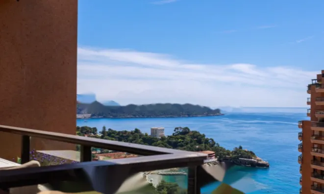 Недвижимость Apartment Monaco, La Rousse: 20