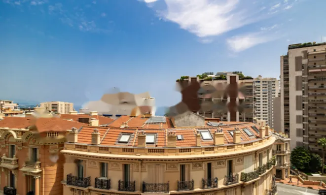 Недвижимость Apartment Monaco, Monte-Carlo: 15