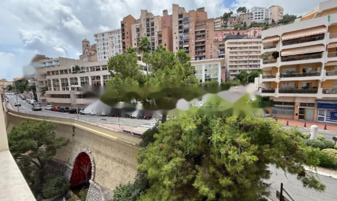 Недвижимость Apartment Monaco, Monte-Carlo: 9