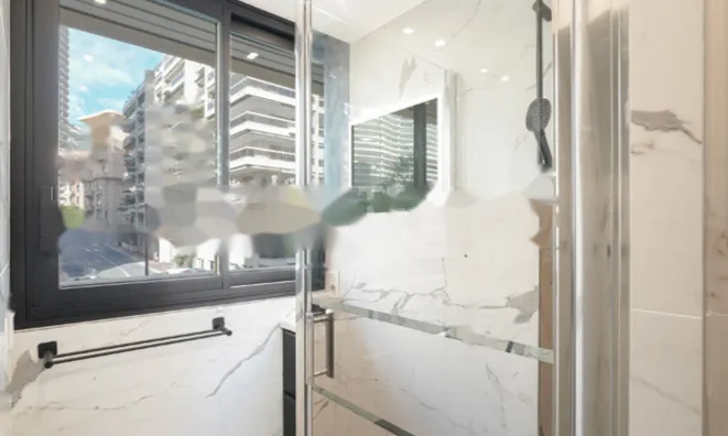 Недвижимость Apartment Monaco, Moneghetti: 7