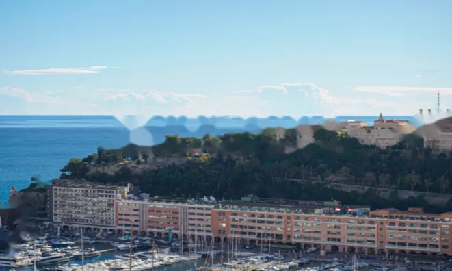 Недвижимость Apartment Monaco, Moneghetti: 11