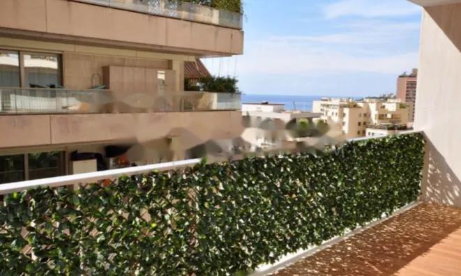 Недвижимость Apartment Monaco, La Rousse: 7