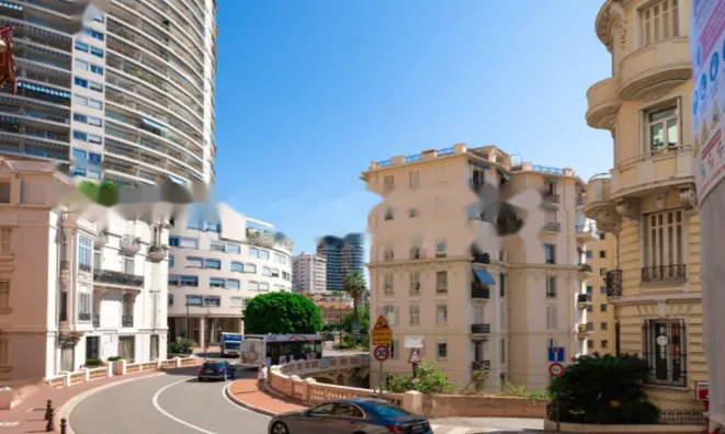 Недвижимость Apartment Monaco, La Rousse: 18