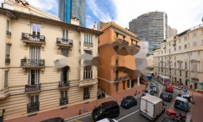 Недвижимость Apartment Monaco, La Rousse: 14
